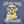 Sargasso Sea