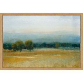 Tranquil Morning I by Tim Otoole Framed Canvas Wall Art Print