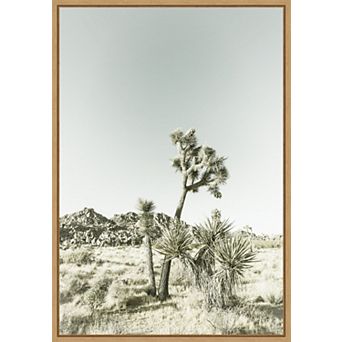Joshua Tree National Park Vintage Impression by Melanie Viola Framed Canvas Wall Art Print