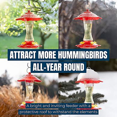 MEKKAPRO 10oz Glass Hummingbird Feeders Red 2pk Bee-Proof