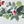 Wreaths