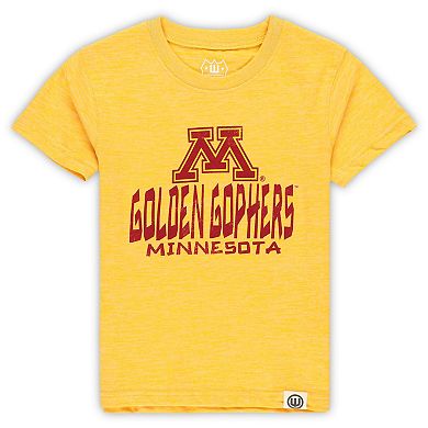 Toddler Wes & Willy Gold/Maroon Minnesota Golden Gophers Cloudy Yarn T-Shirt & Shorts Set
