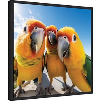 Funny Parrot Selfie by The Creative Bunch Studio