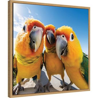 Funny Parrot Selfie by The Creative Bunch Studio