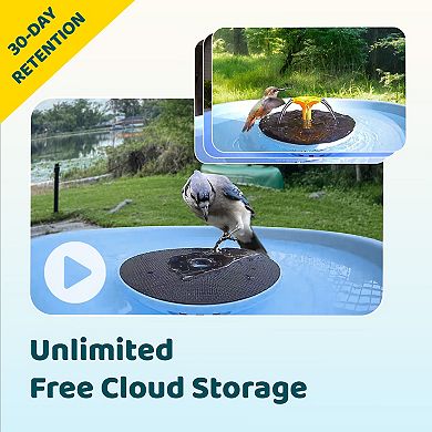 Birdfy Smart Bird Bath Pro with Stand