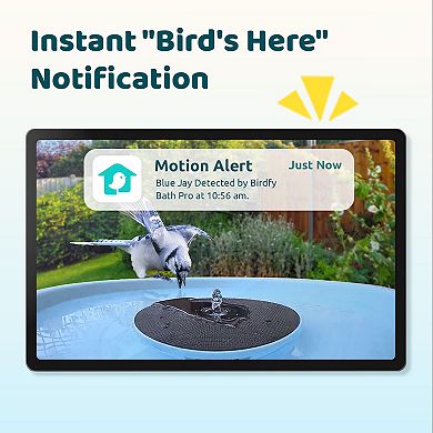 Birdfy Smart Bird Bath Pro with Stand