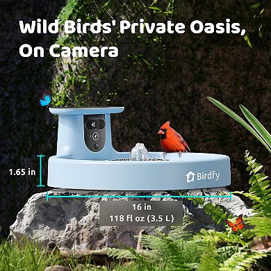 Birdfy Smart Bird Bath Pro with Stand