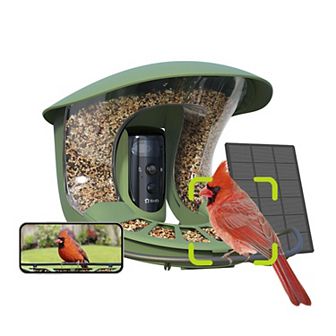 Birdfy 2 Smart Bird Feeder with Camera