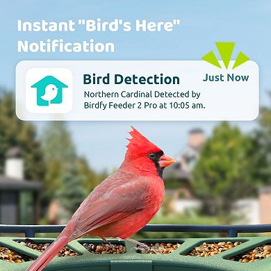 Birdfy 2 Smart Bird Feeder with Camera