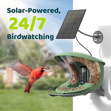 Birdfy 2 Smart Bird Feeder with Camera
