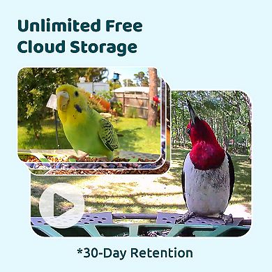 Birdfy 2 Smart Bird Feeder with Camera