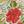 Breeze Floral