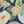 Marlow Blue Floral