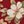 Roma Floral