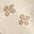Beige Petal Flower