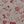 Pink Floral