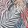Black Rust