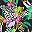 Tropical Floral