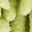 Green Leaf Blue