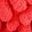 Red Leaf Pink