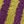 Purple Green