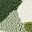 Green Leaf