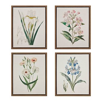 Madison Park Herbal Botany 4 pc Framed Botanical Illustration Wall Art Set