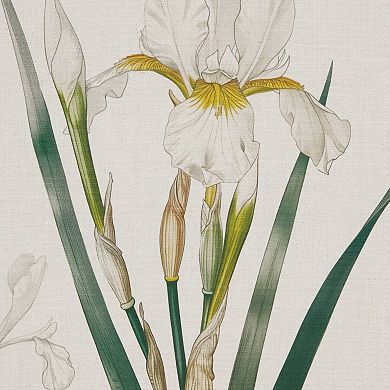 Madison Park Herbal Botany 4-pc. Framed Botanical Illustration Wall Art Set