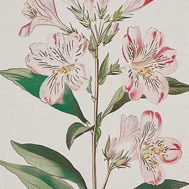 Madison Park Herbal Botany 4-pc. Framed Botanical Illustration Wall Art Set