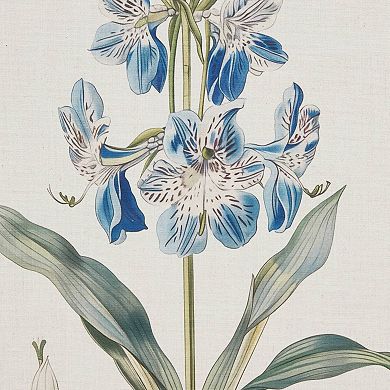 Madison Park Herbal Botany 4-pc. Framed Botanical Illustration Wall Art Set