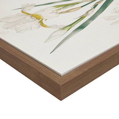 Madison Park Herbal Botany 4-pc. Framed Botanical Illustration Wall Art Set