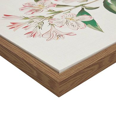 Madison Park Herbal Botany 4-pc. Framed Botanical Illustration Wall Art Set