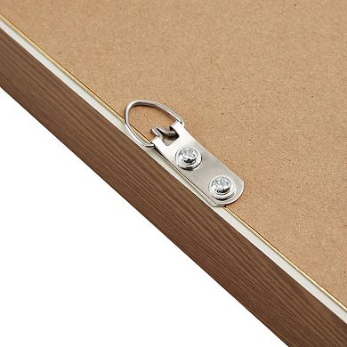 Madison Park Herbal Botany 4-pc. Framed Botanical Illustration Wall Art Set