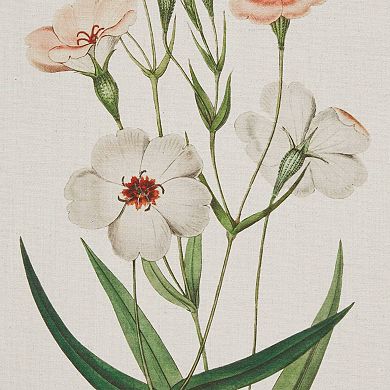 Madison Park Herbal Botany 4-pc. Framed Botanical Illustration Wall Art Set