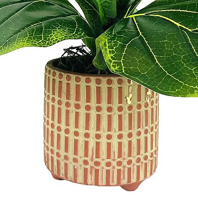 Faux Fig with Terra Cotta Pot