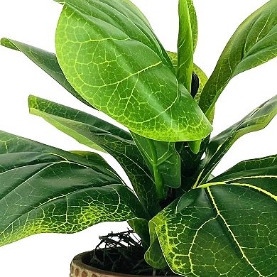 Faux Fig with Terra Cotta Pot