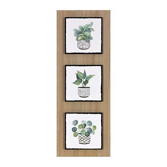 Triptych Potted Plants Wall Decor