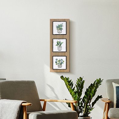 Triptych Potted Plants Wall Decor
