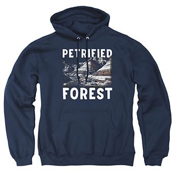 Big & Tall Petrified Forest Mesa Graphic Pullover Hoodie