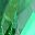 Gold Tone Green