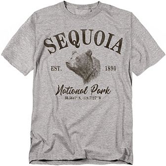 Big & Tall Sequoia National Park Black Bear Graphic Tee