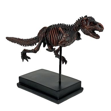 Tyrannosaurus Rex Skeleton Statue T-Rex on Museum Mount