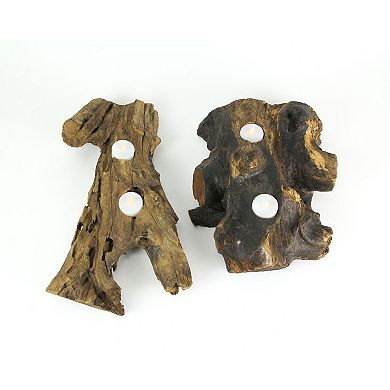 Set of 2 Natural Gamal Root Wood Double Tealight Candle Holders - Large