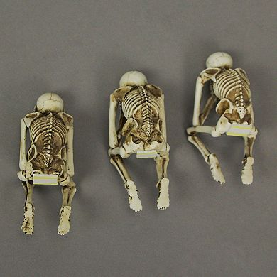 Set of 3 Resin Hear See Speak No Evil Skeleton Shelf Sitter Figurines Home Decor Statues