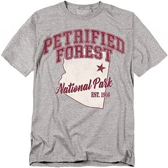 Big & Tall Petrified Forest National Park Graphic Tee