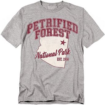 Big & Tall Petrified Forest National Park Graphic Tee