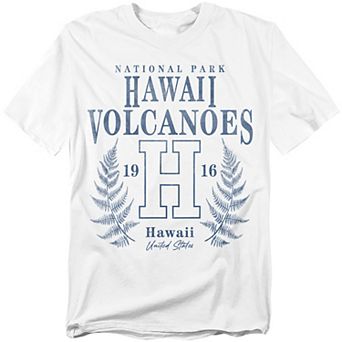 Big & Tall Hawaii Volcanoes National Park Fern Graphic Tee