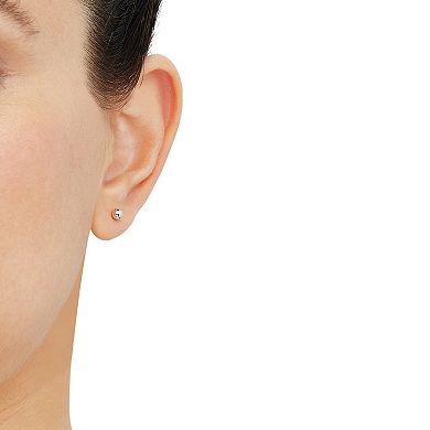 14k Gold 4mm Ball & Ball Nut Earrings