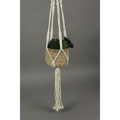 Rope Hanging Cement Succulent Bowl Flower Pot Home Decor Decorative Planter