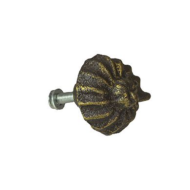 Bronze Cast Iron Nautilus Shell Drawer Pull Decorative Cabinet Knobs Set of 6